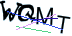 图形验证