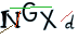 图形验证