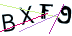 图形验证
