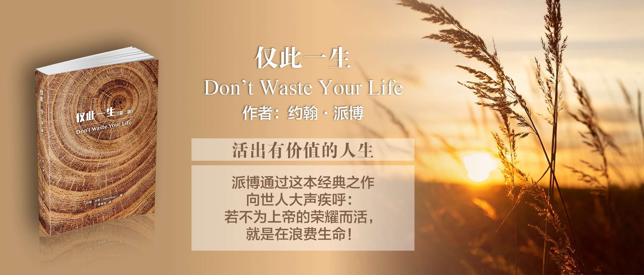 仅此一生