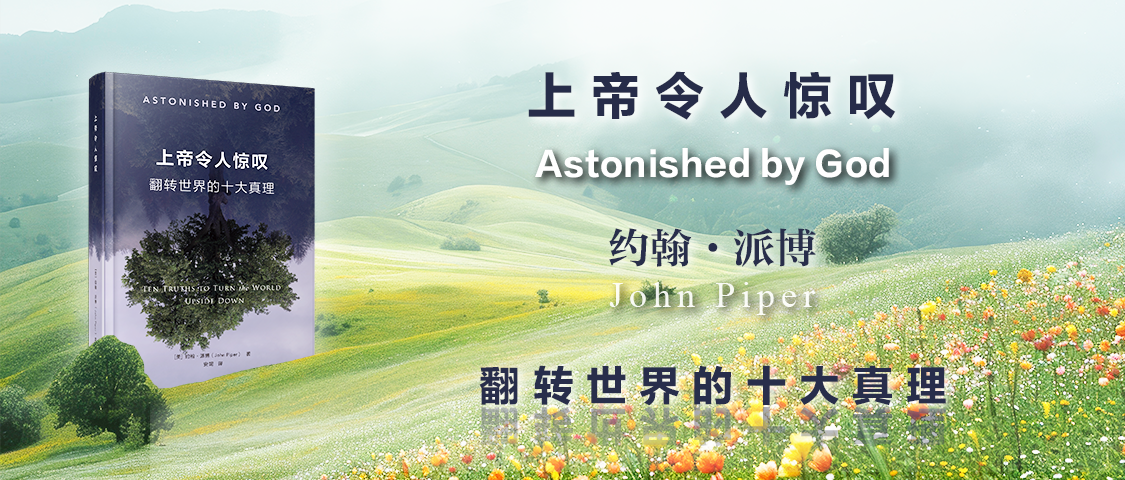 上帝令人惊叹： 翻转世界的十大真理