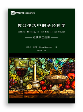 教会生活中的圣经神学:教牧事工指南